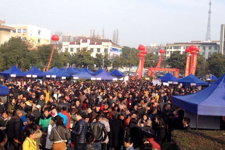 春风送岗位.jpg